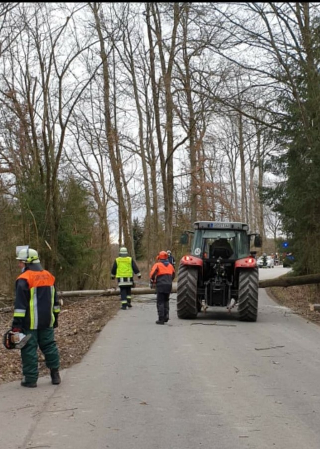 Leider haben wir keinen Alternativtext zu diesem Bild, aber wir arbeiten daran.